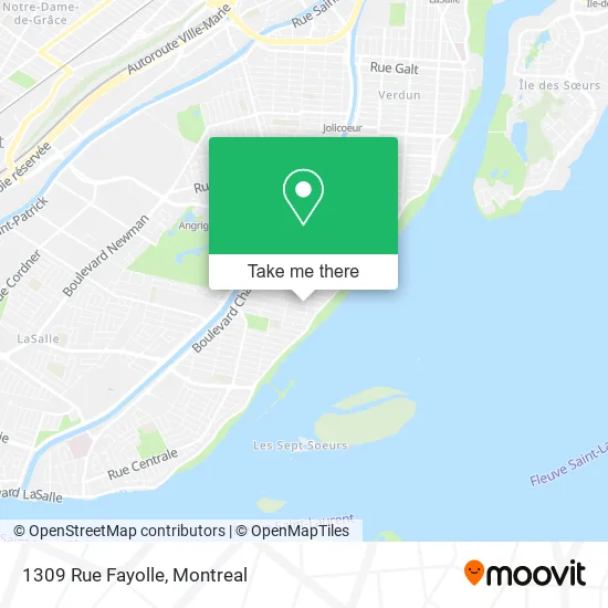 1309 Rue Fayolle map