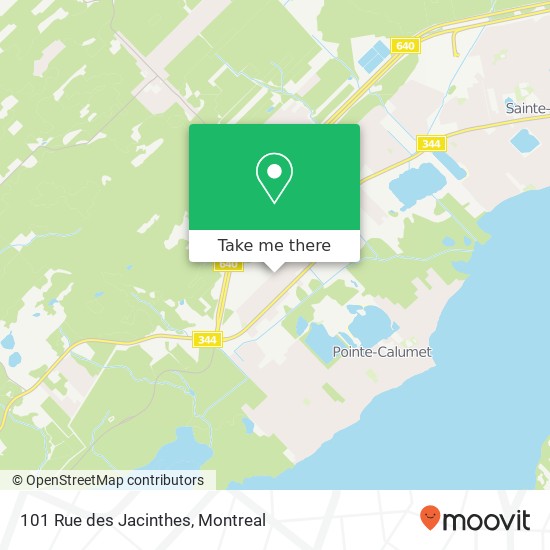 101 Rue des Jacinthes map