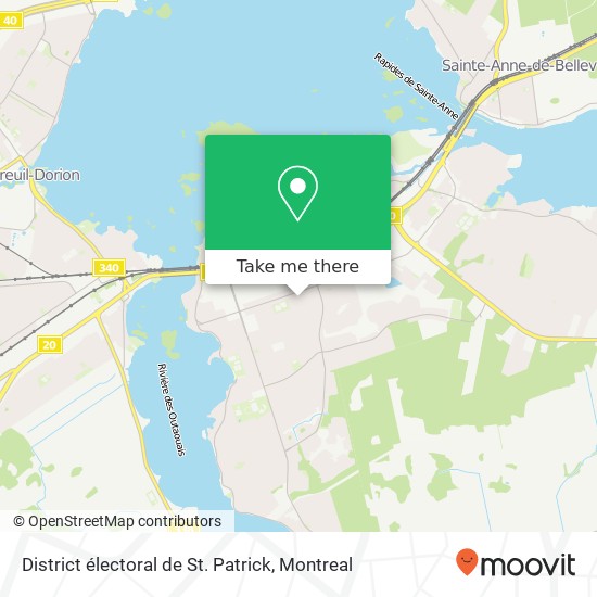 District électoral de St. Patrick map