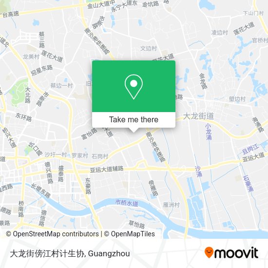 大龙街傍江村计生协 map