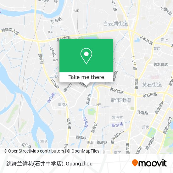 跳舞兰鲜花(石井中学店) map