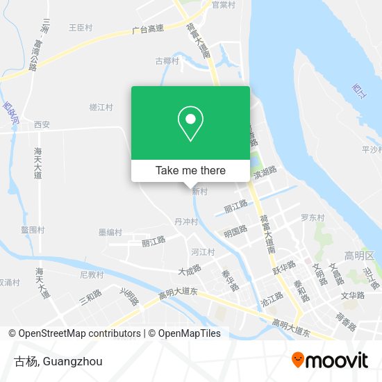 古杨 map