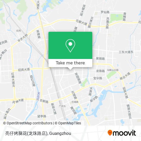 亮仔烤脑花(龙珠路店) map