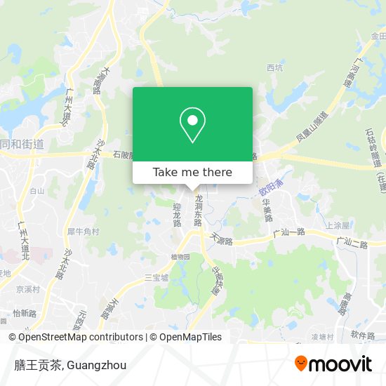 膳王贡茶 map