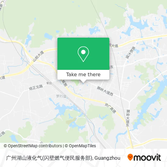 广州湖山液化气(闪壁燃气便民服务部) map