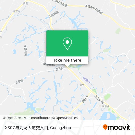 X307与九龙大道交叉口 map