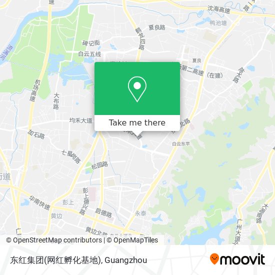 东红集团(网红孵化基地) map
