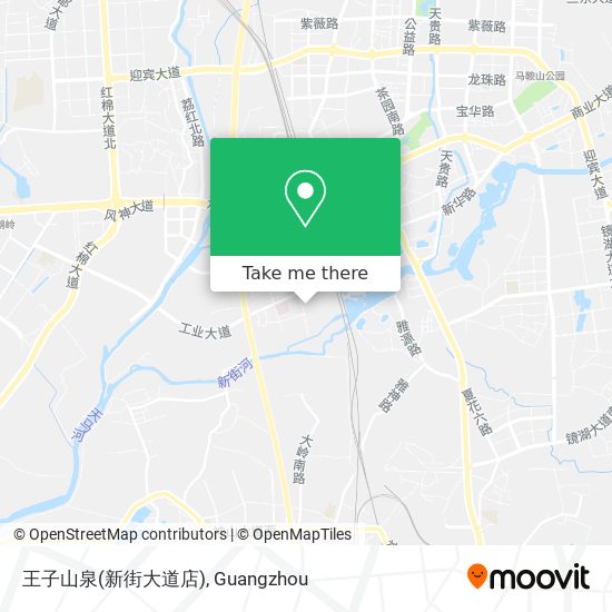 王子山泉(新街大道店) map