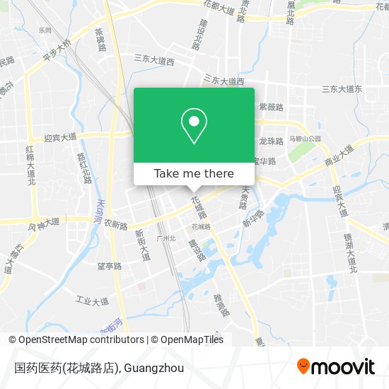 国药医药(花城路店) map