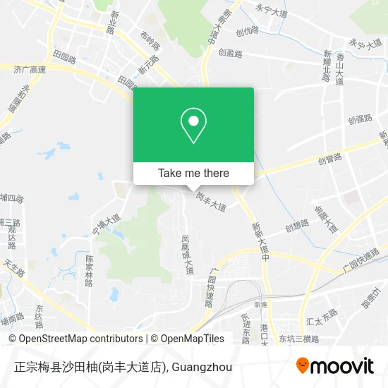 正宗梅县沙田柚(岗丰大道店) map