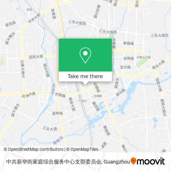 中共新华街家庭综合服务中心支部委员会 map