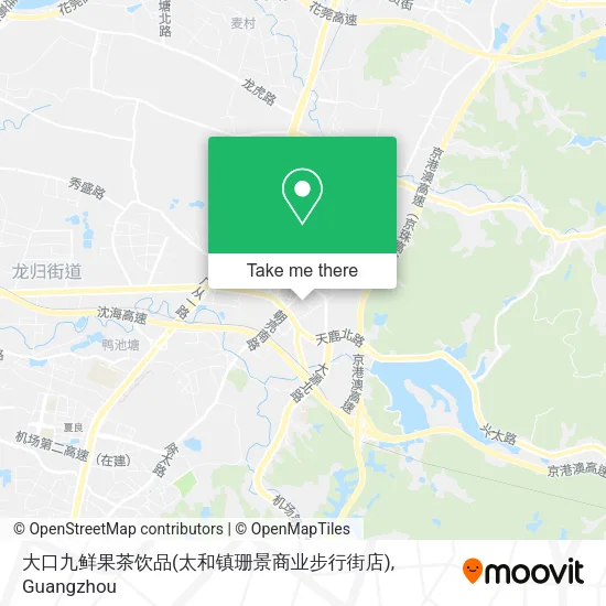 大口九鲜果茶饮品(太和镇珊景商业步行街店) map