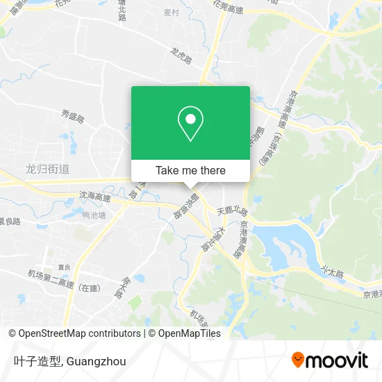 叶子造型 map