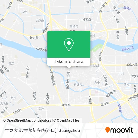 世龙大道/羊额新兴路(路口) map