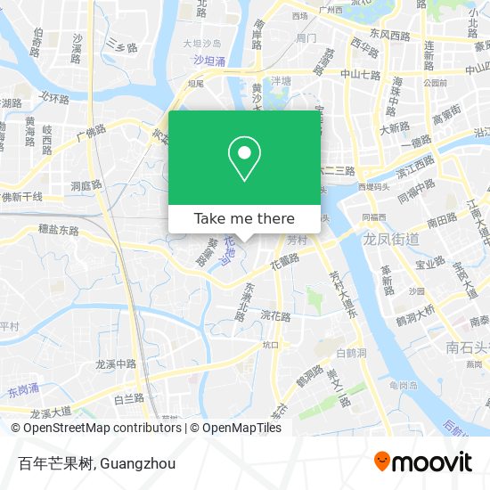 百年芒果树 map