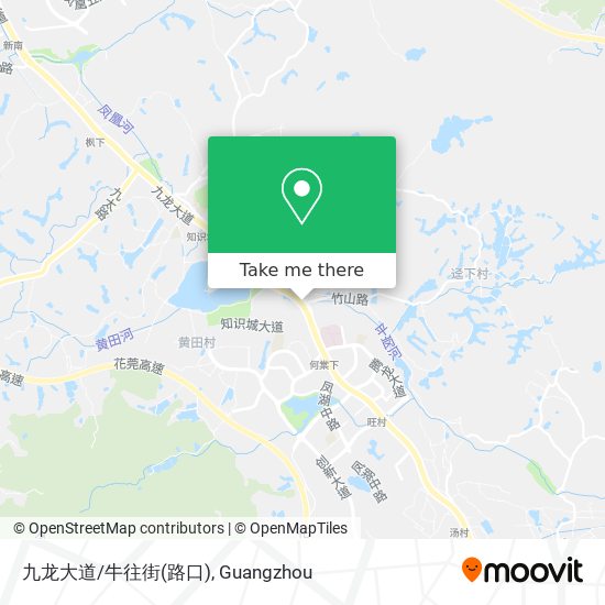 九龙大道/牛往街(路口) map