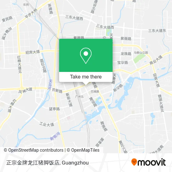 正宗金牌龙江猪脚饭店 map