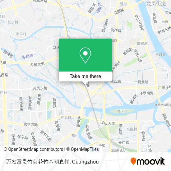 万发富贵竹荷花竹基地直销 map