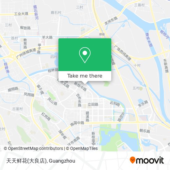 天天鲜花(大良店) map