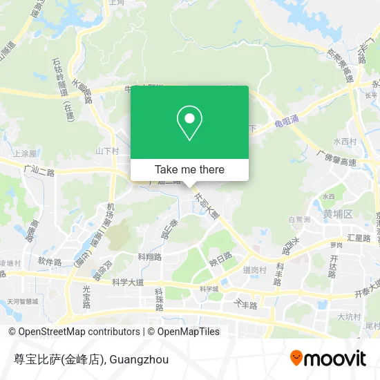 尊宝比萨(金峰店) map