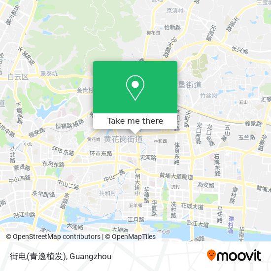 街电(青逸植发) map