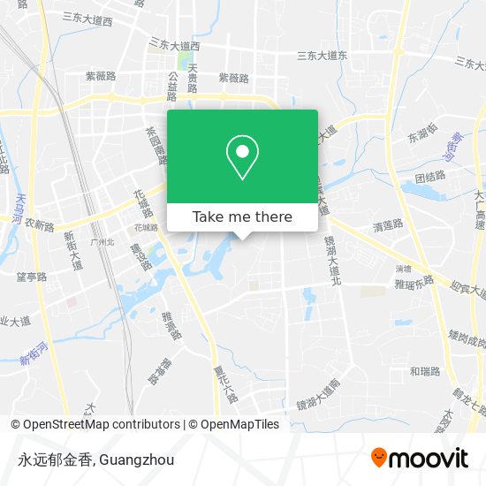 永远郁金香 map