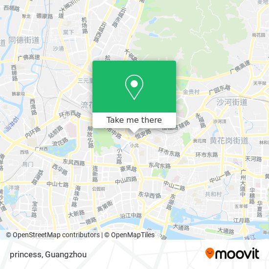 princess map