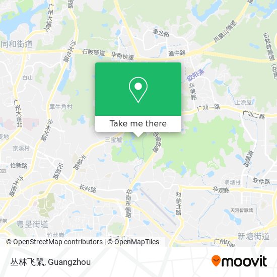 丛林飞鼠 map