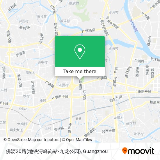 佛沥20路(地铁浔峰岗站-九龙公园) map