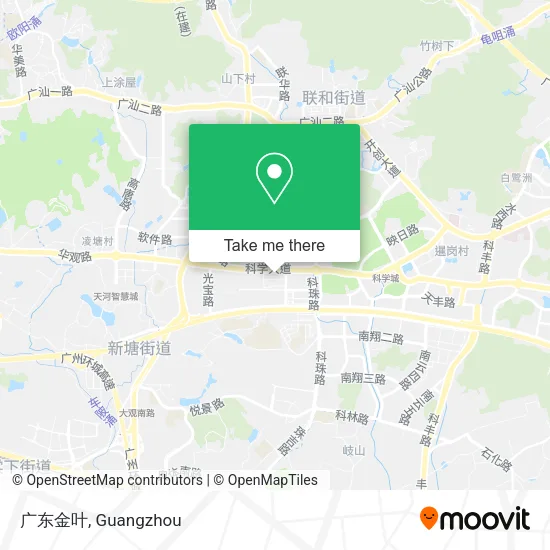 广东金叶 map