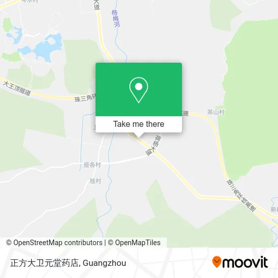 正方大卫元堂药店 map