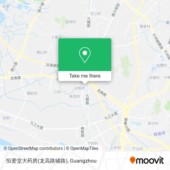 恒爱堂大药房(龙高路辅路) map