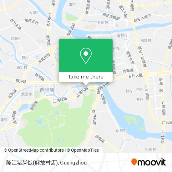 隆江猪脚饭(解放村店) map
