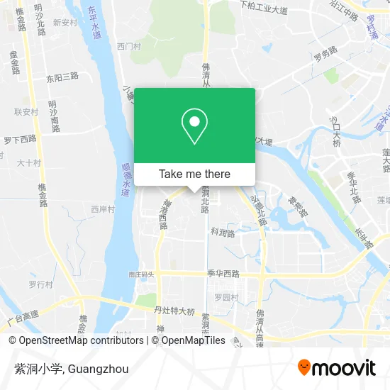 紫洞小学 map