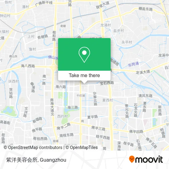紫洋美容会所 map