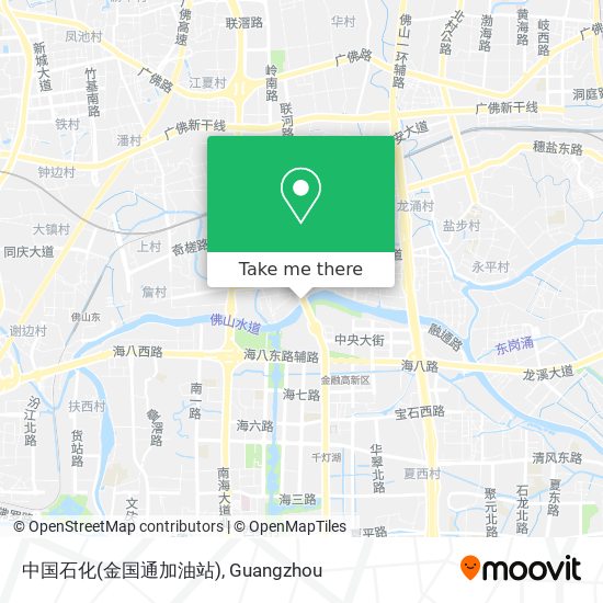 中国石化(金国通加油站) map