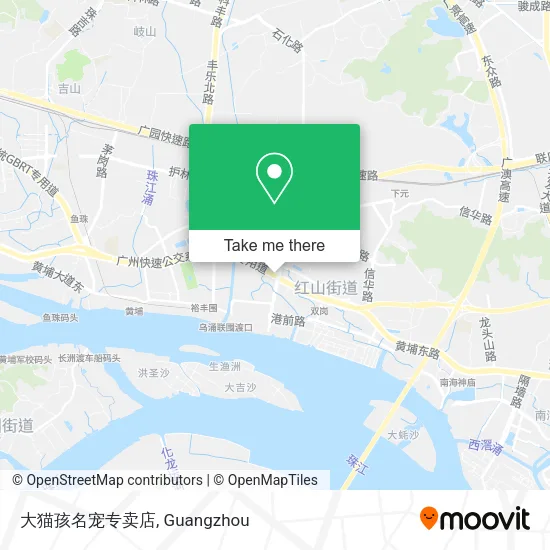 大猫孩名宠专卖店 map