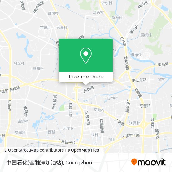 中国石化(金雅涛加油站) map