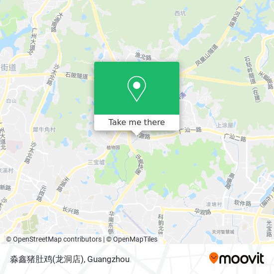 淼鑫猪肚鸡(龙洞店) map