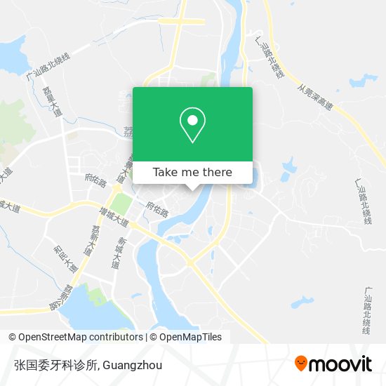 张国委牙科诊所 map