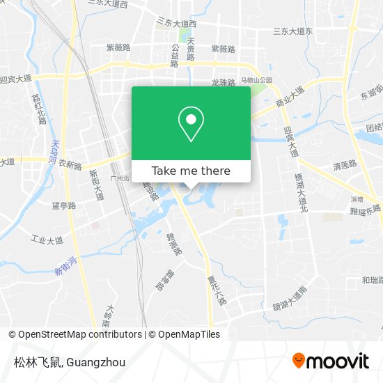 松林飞鼠 map