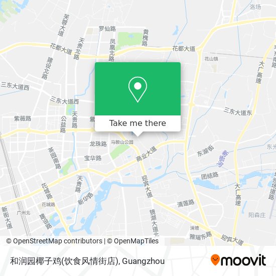 和润园椰子鸡(饮食风情街店) map