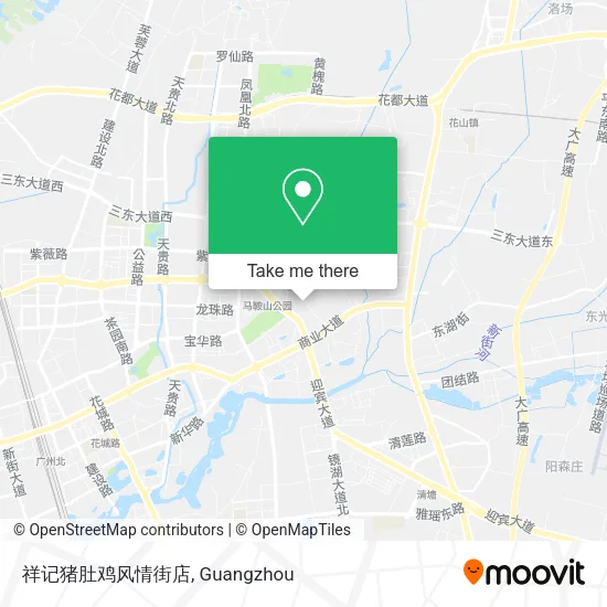 祥记猪肚鸡风情街店 map