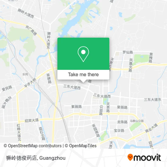 狮岭德俊药店 map