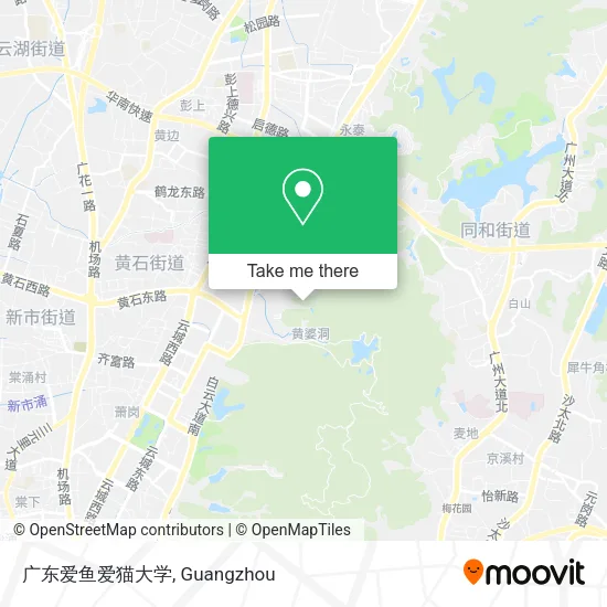 广东爱鱼爱猫大学 map