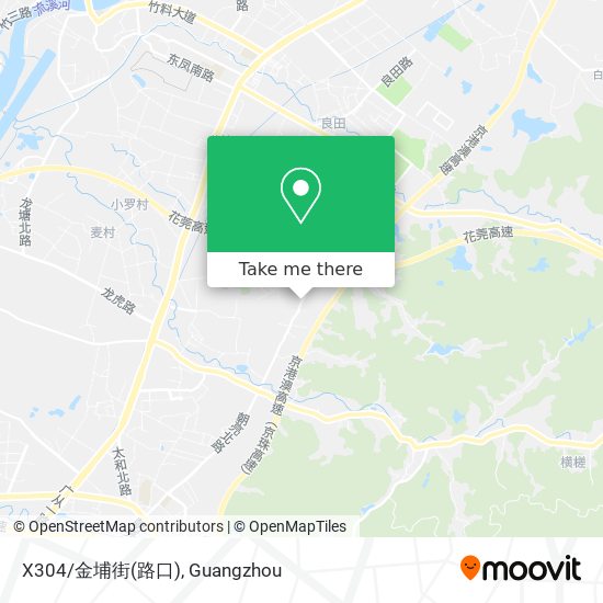 X304/金埔街(路口) map