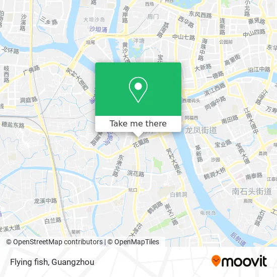 Flying fish map