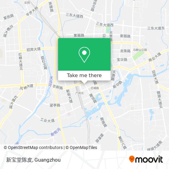 新宝堂陈皮 map