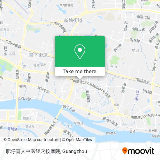 肥仔盲人中医经穴按摩院 map