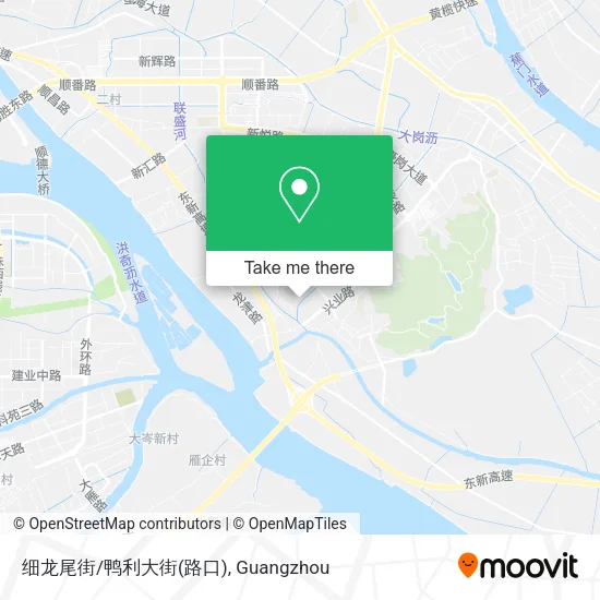 细龙尾街/鸭利大街(路口) map